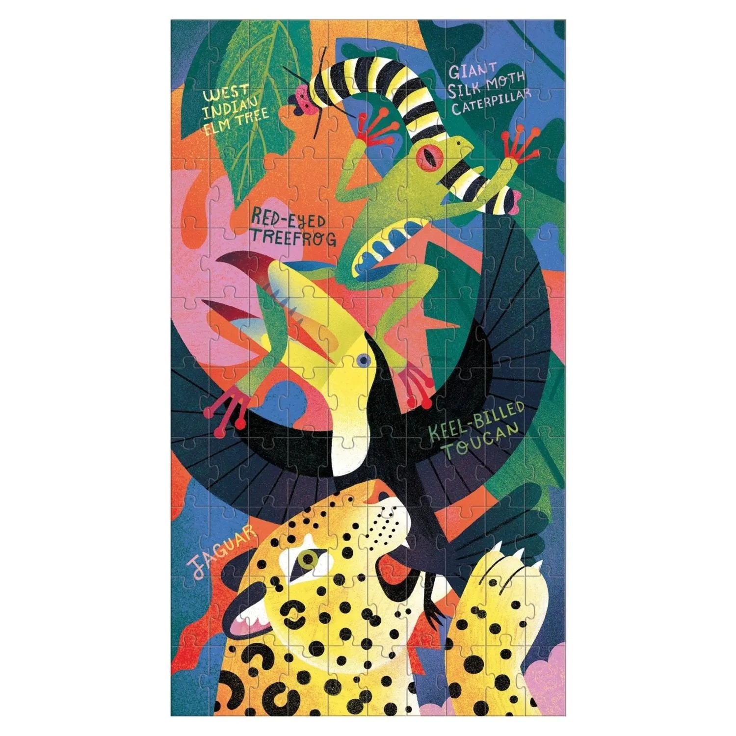 Wild Food Chain Science Multipack