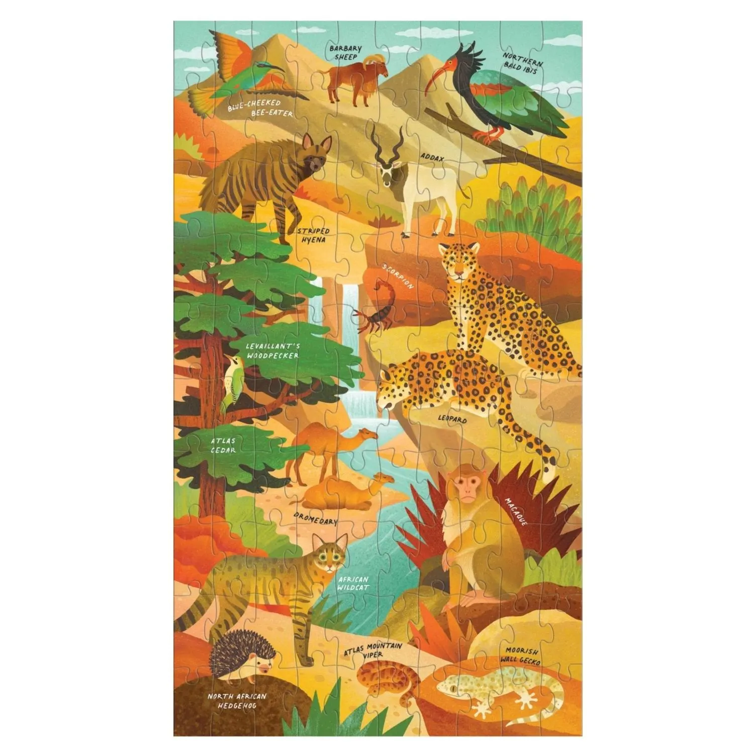 Momentous Mountains Science Multipack