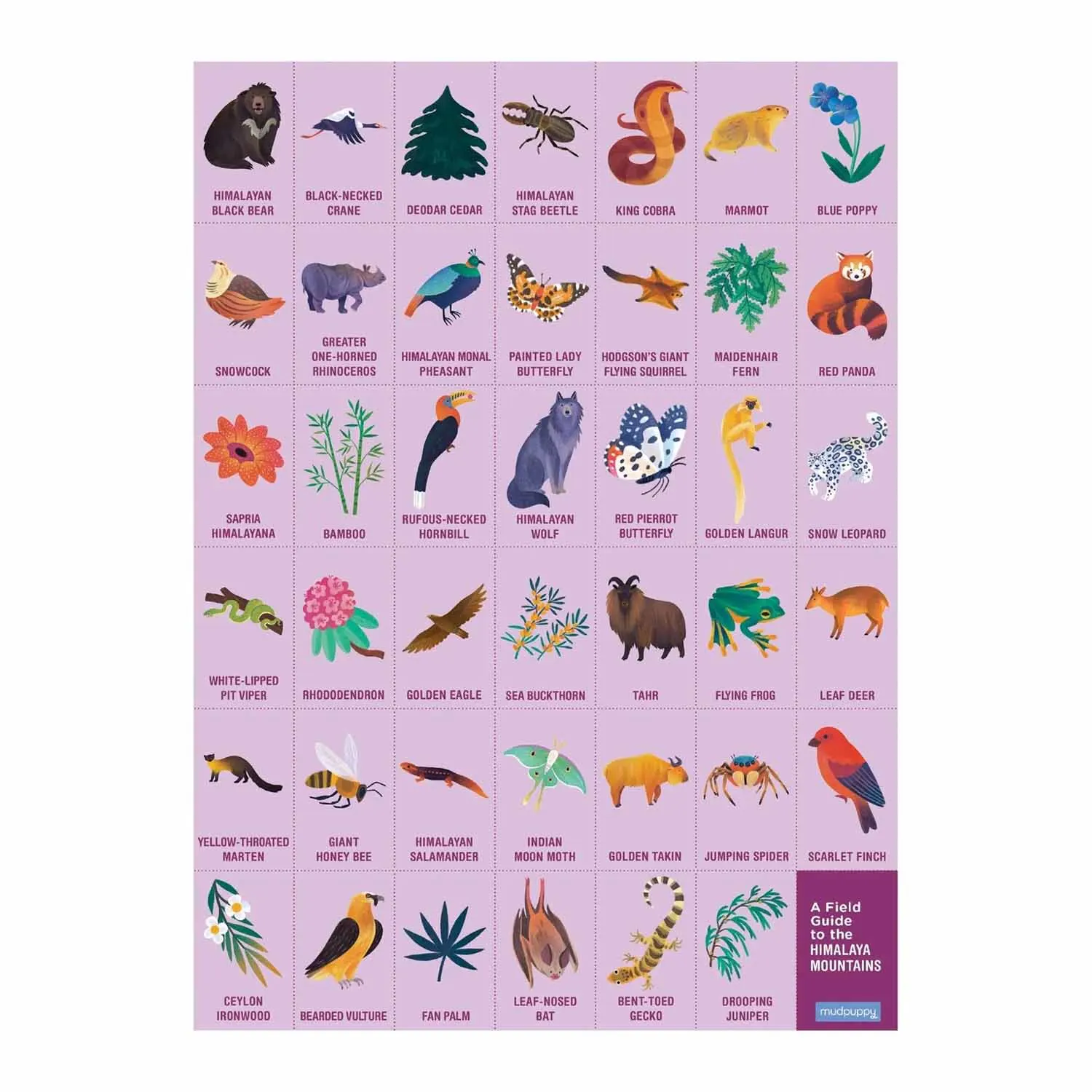 Search Find In the Mountains