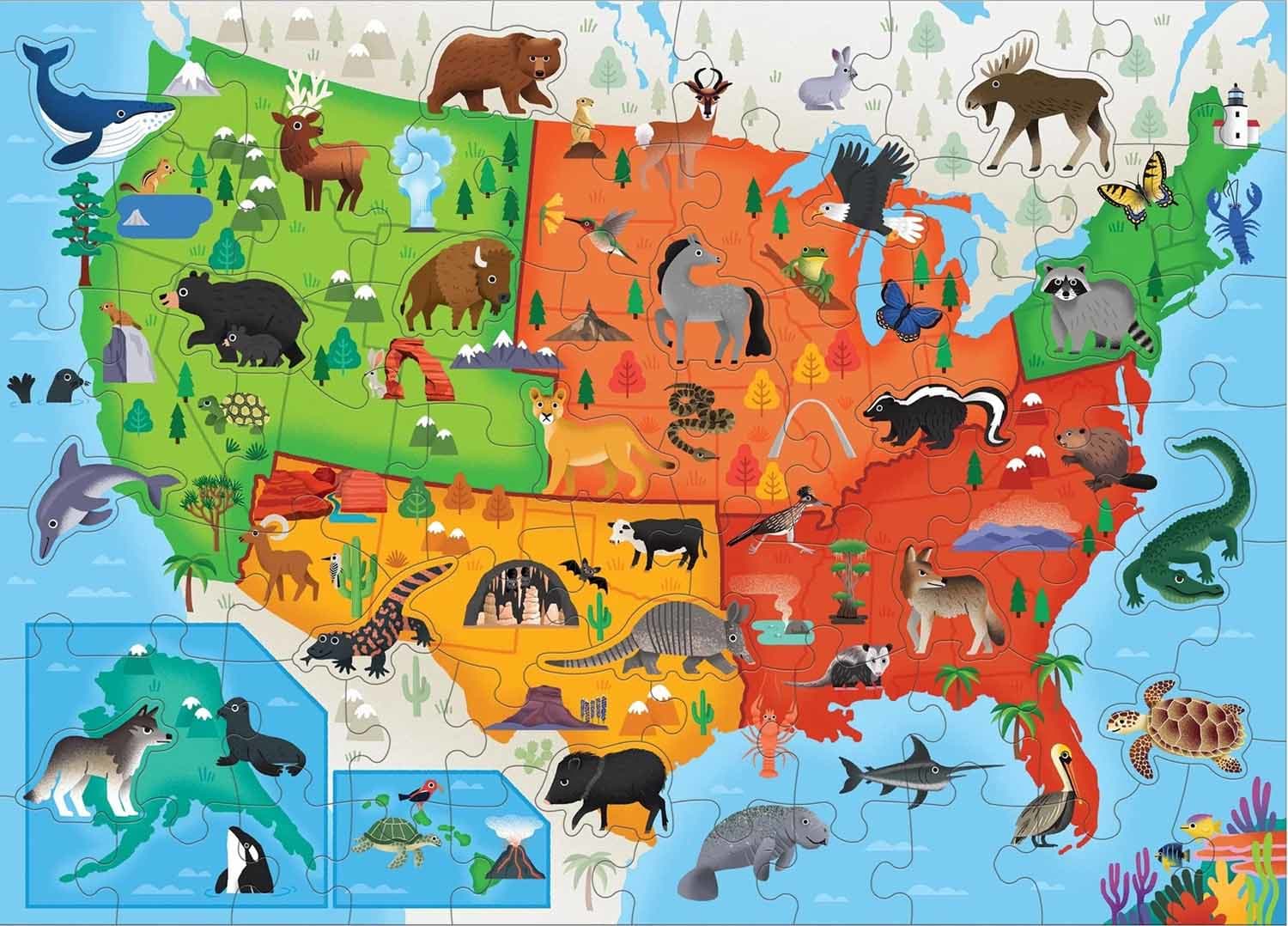 Little Park Ranger - National Parks