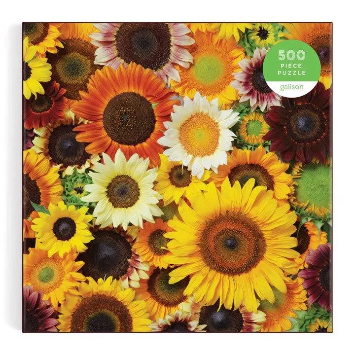 Sunflower Blooms Flower & Garden