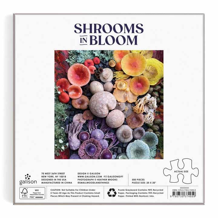 Shrooms in Bloom