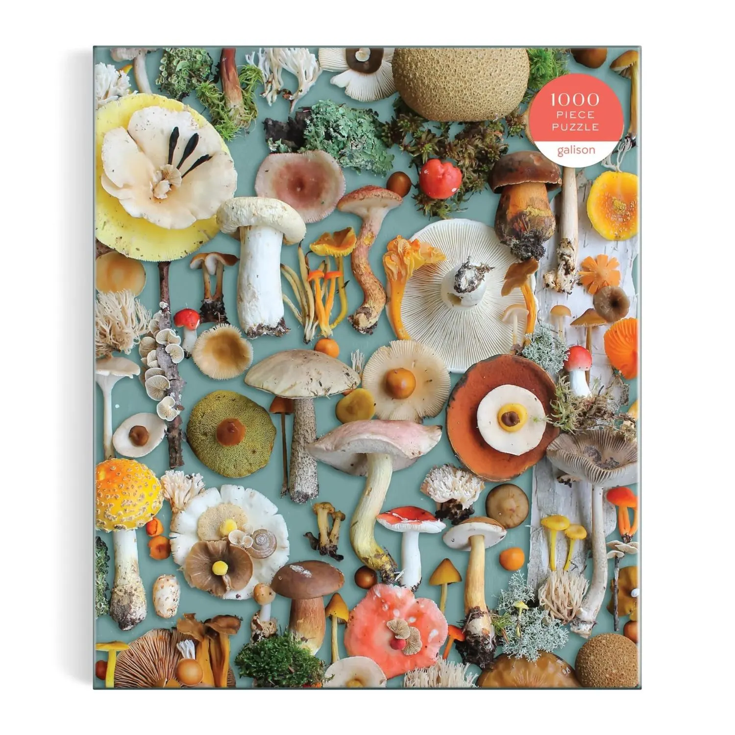 Puz 1000 Foraged Collage