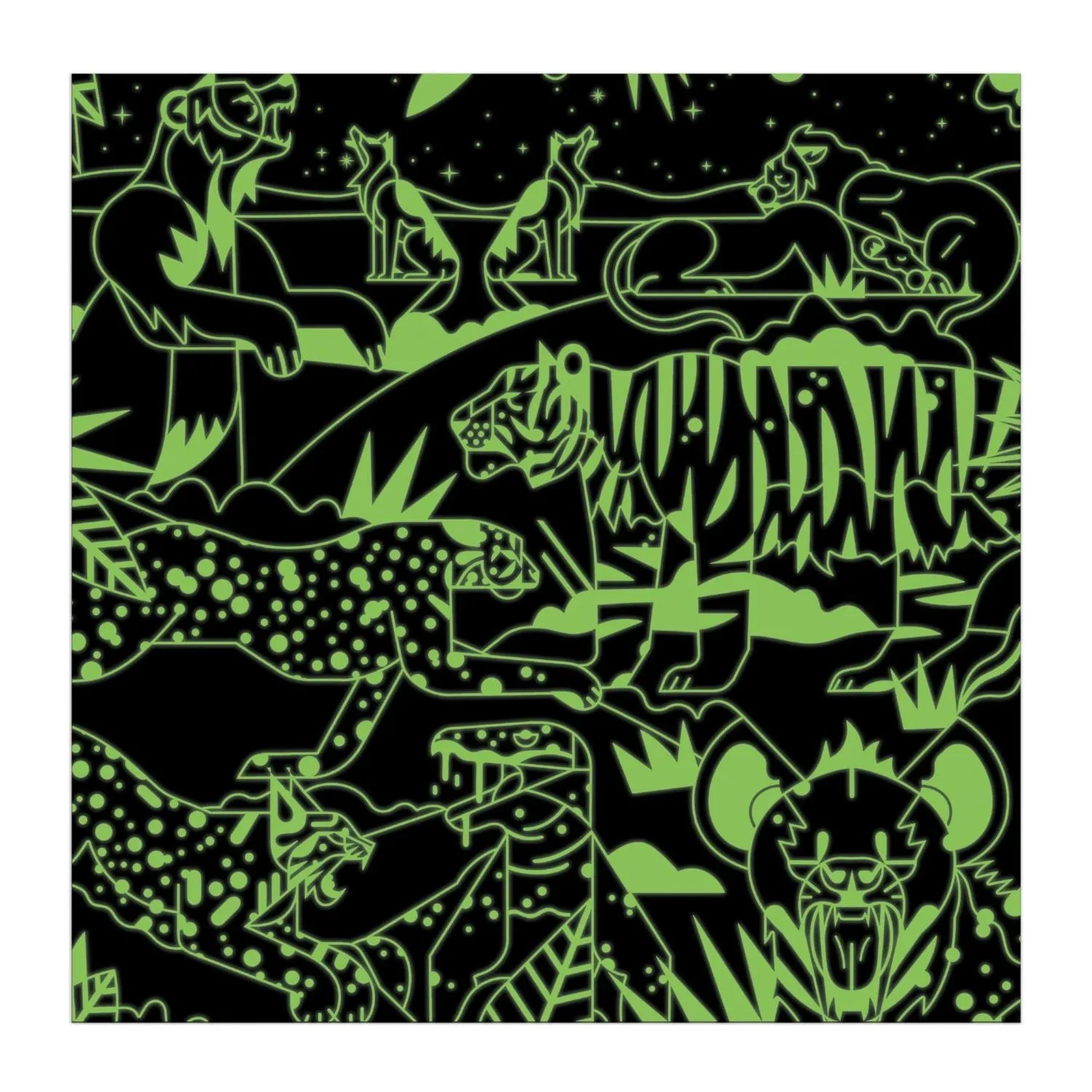 Family Predators Illuminated