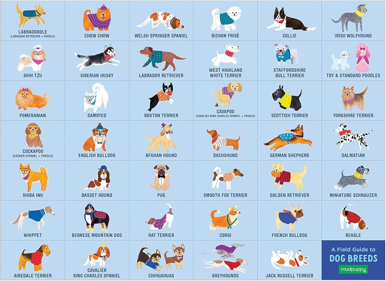 Dog Park - Search and Find Puzzle