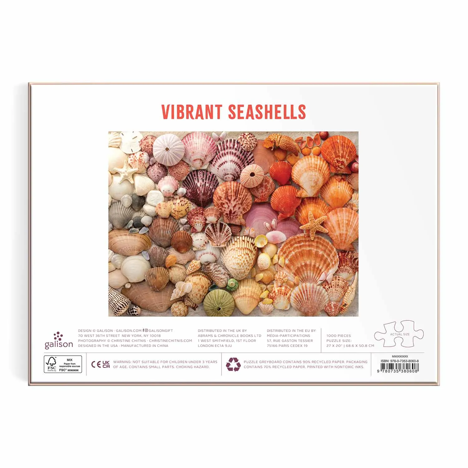 Vibrant Seashells