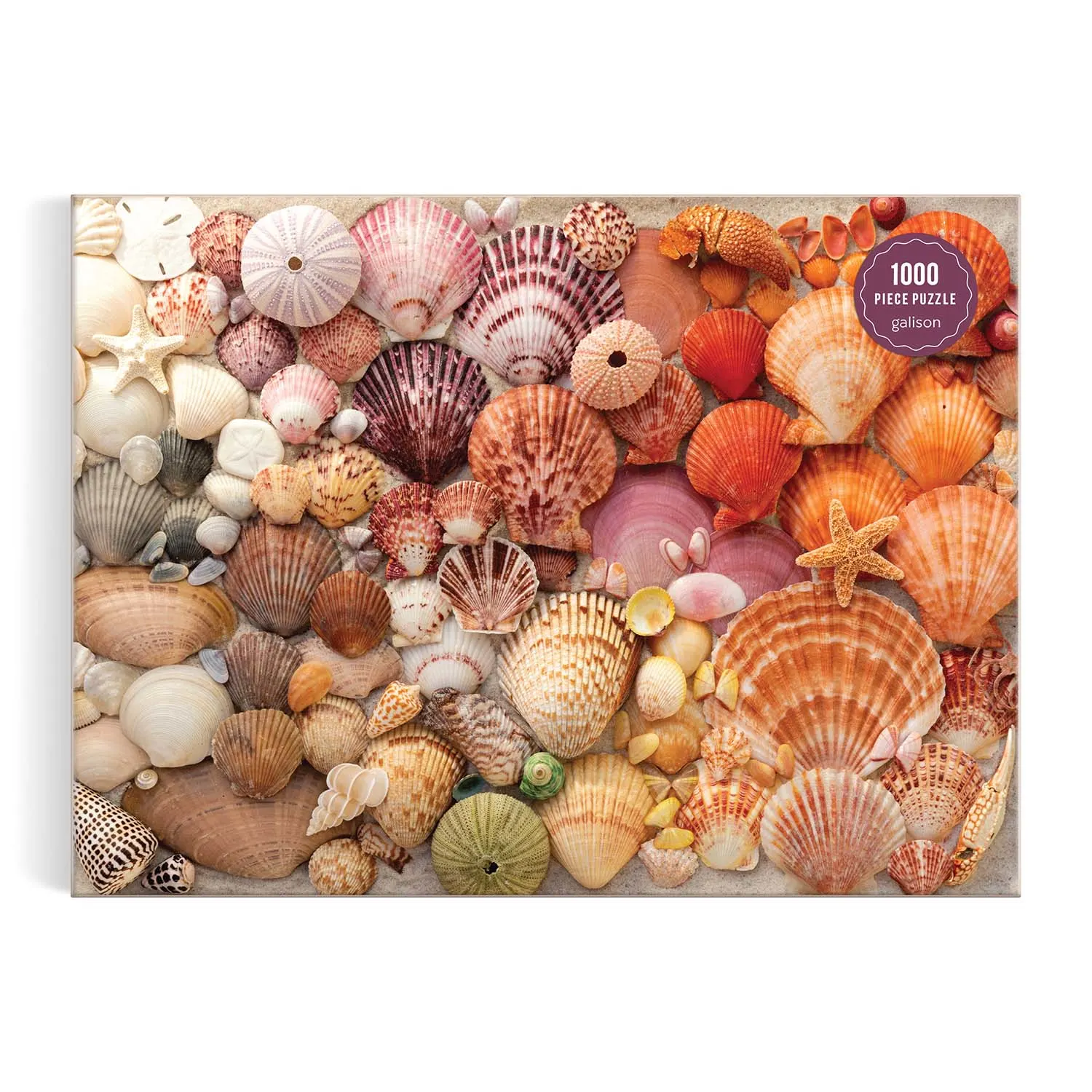 Vibrant Seashells - 1000 Piece Jigsaw Puzzle by Galison | Serious