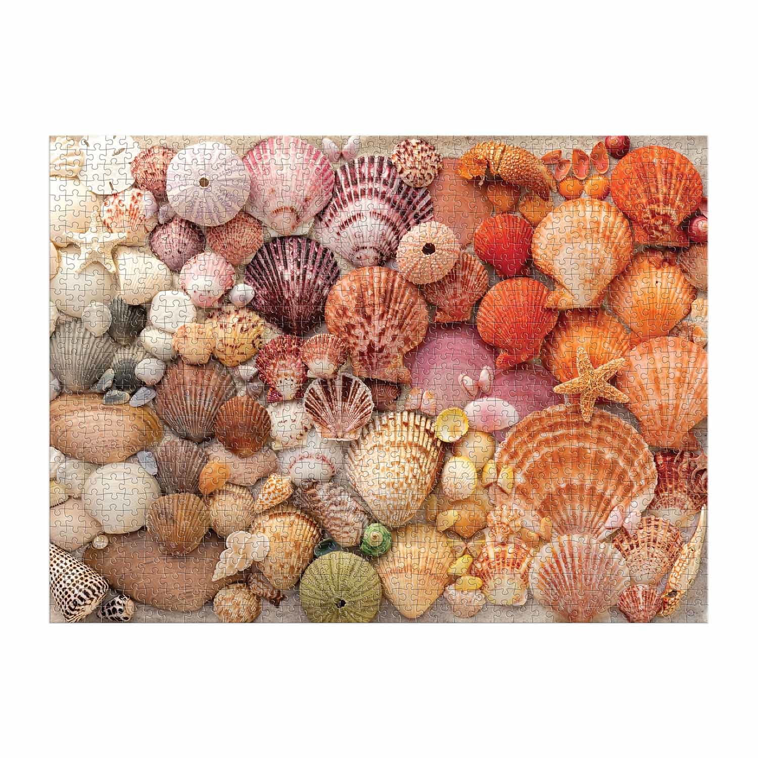 Vibrant Seashells