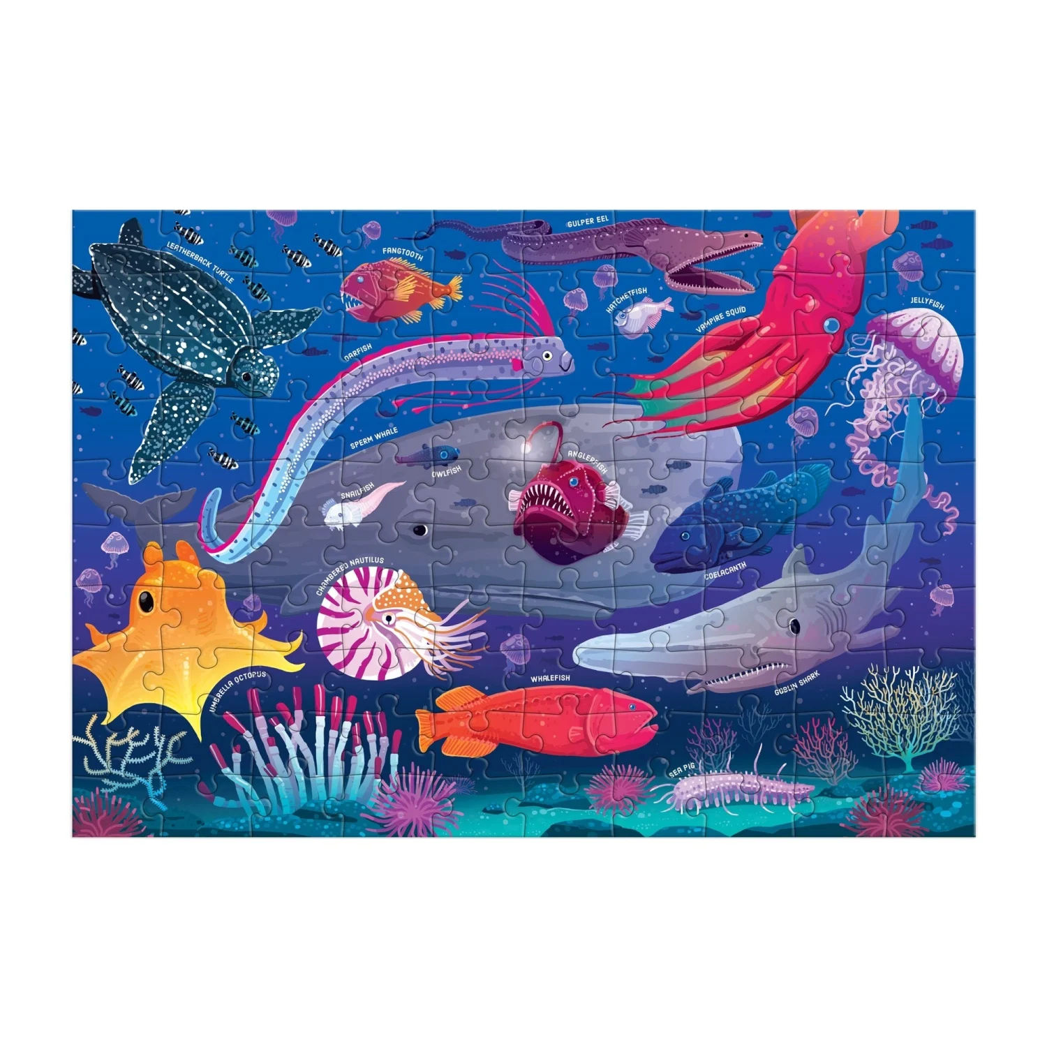 Deep Sea - Scratch and Dent