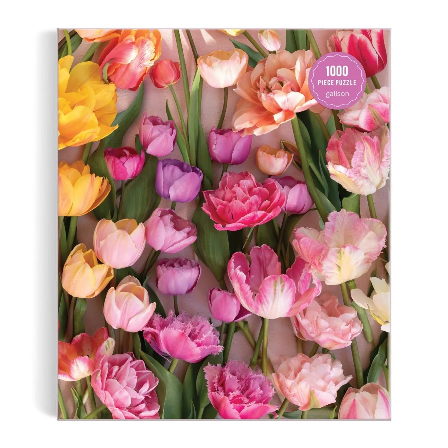 Ephemeral Tulips Flower & Garden