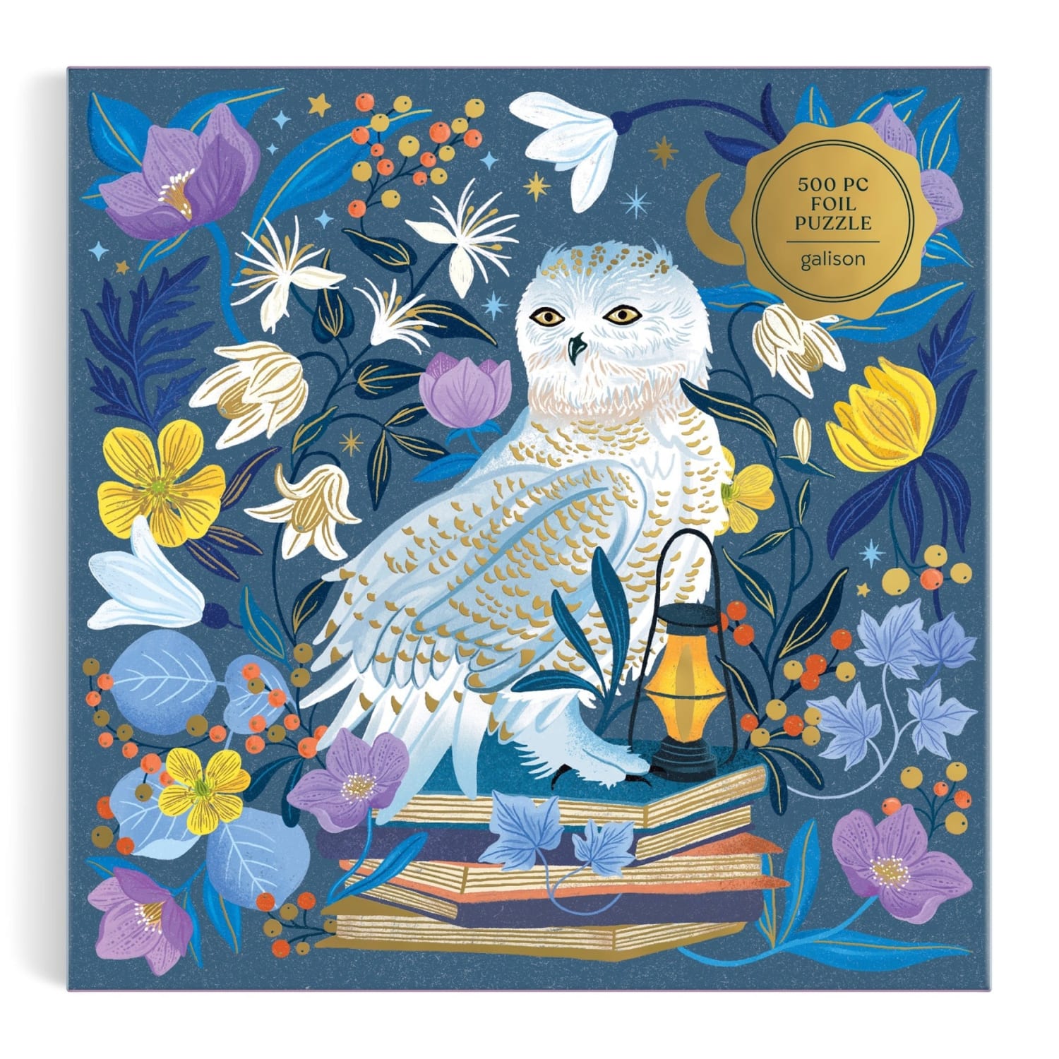 Celestial Owl Birds
