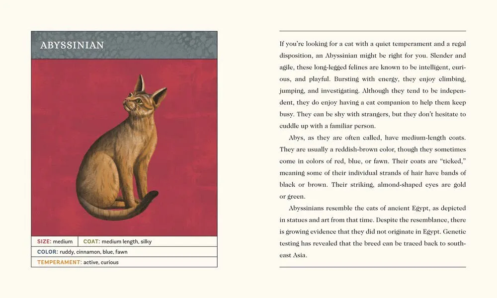 For the Love of Cats