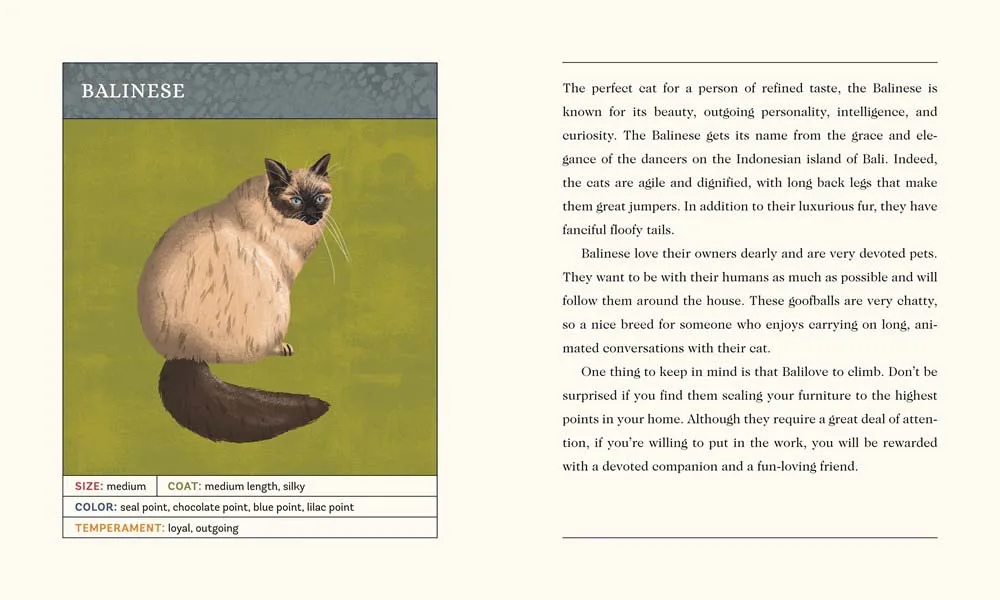 For the Love of Cats