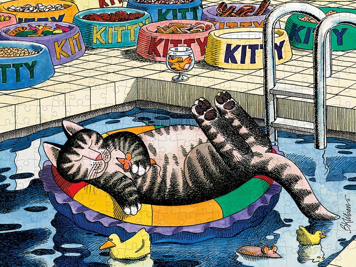 Pool Cat