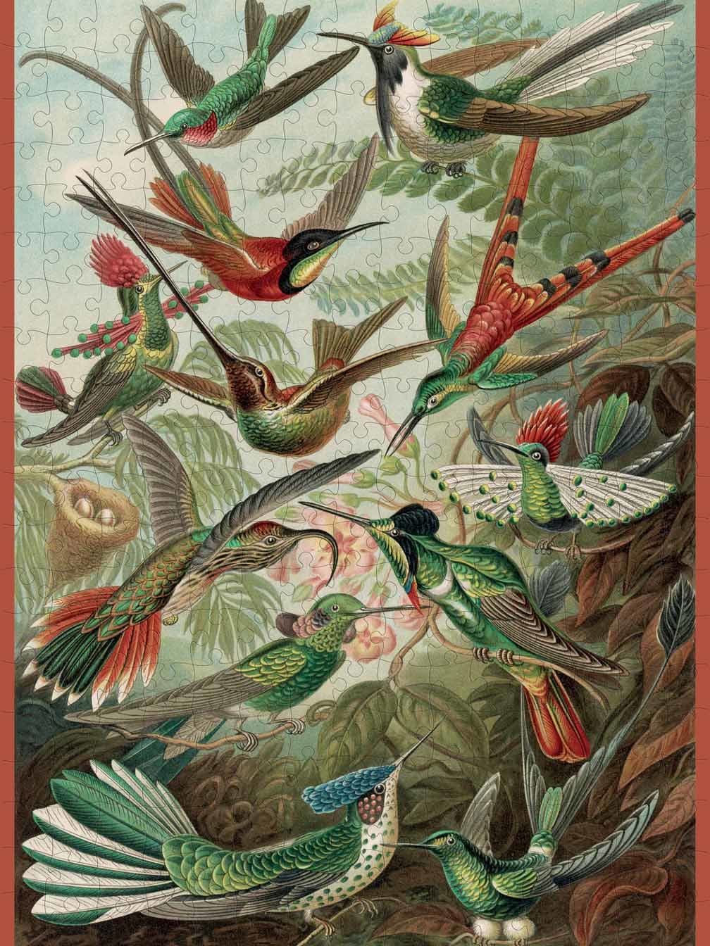 Hummingbirds