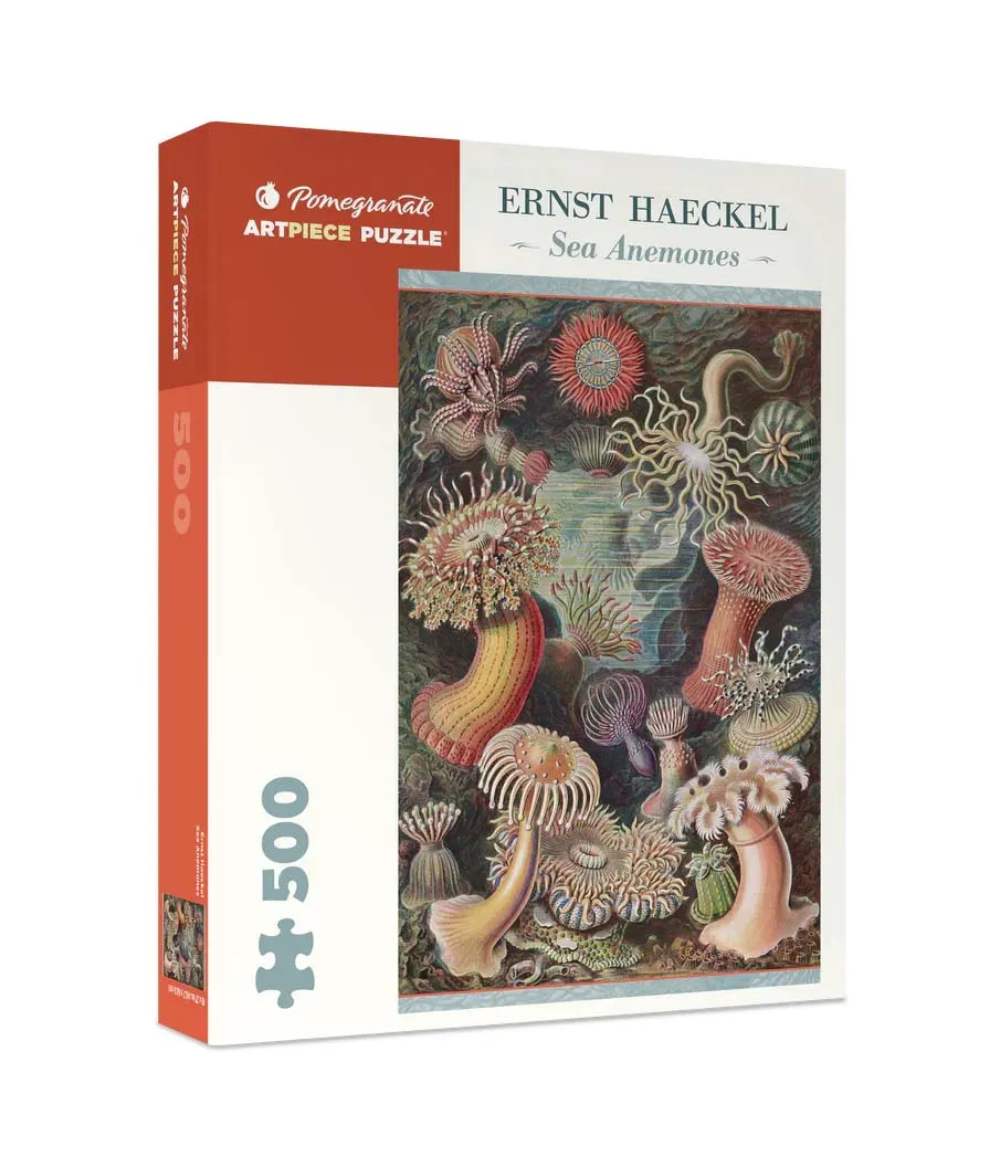 Sea Anemones