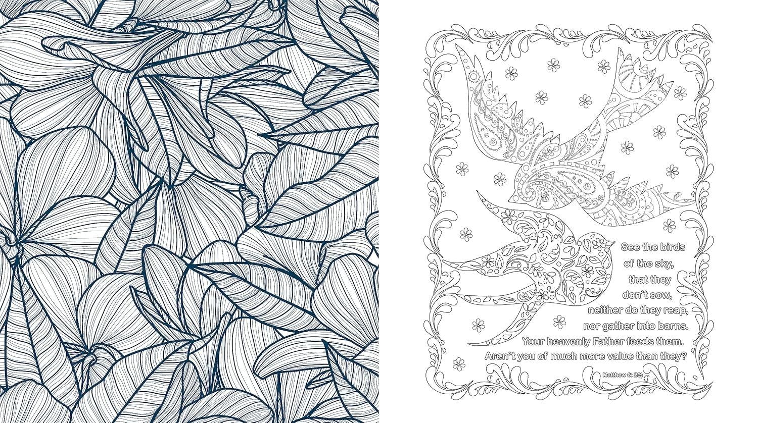 Bible Inspiration for Women Coloring Book - Scratch and Dent