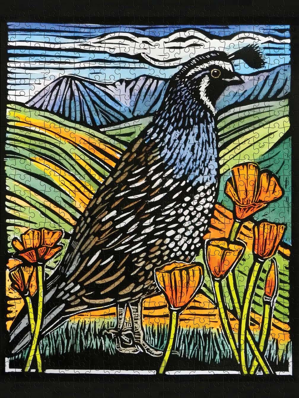 California Quail