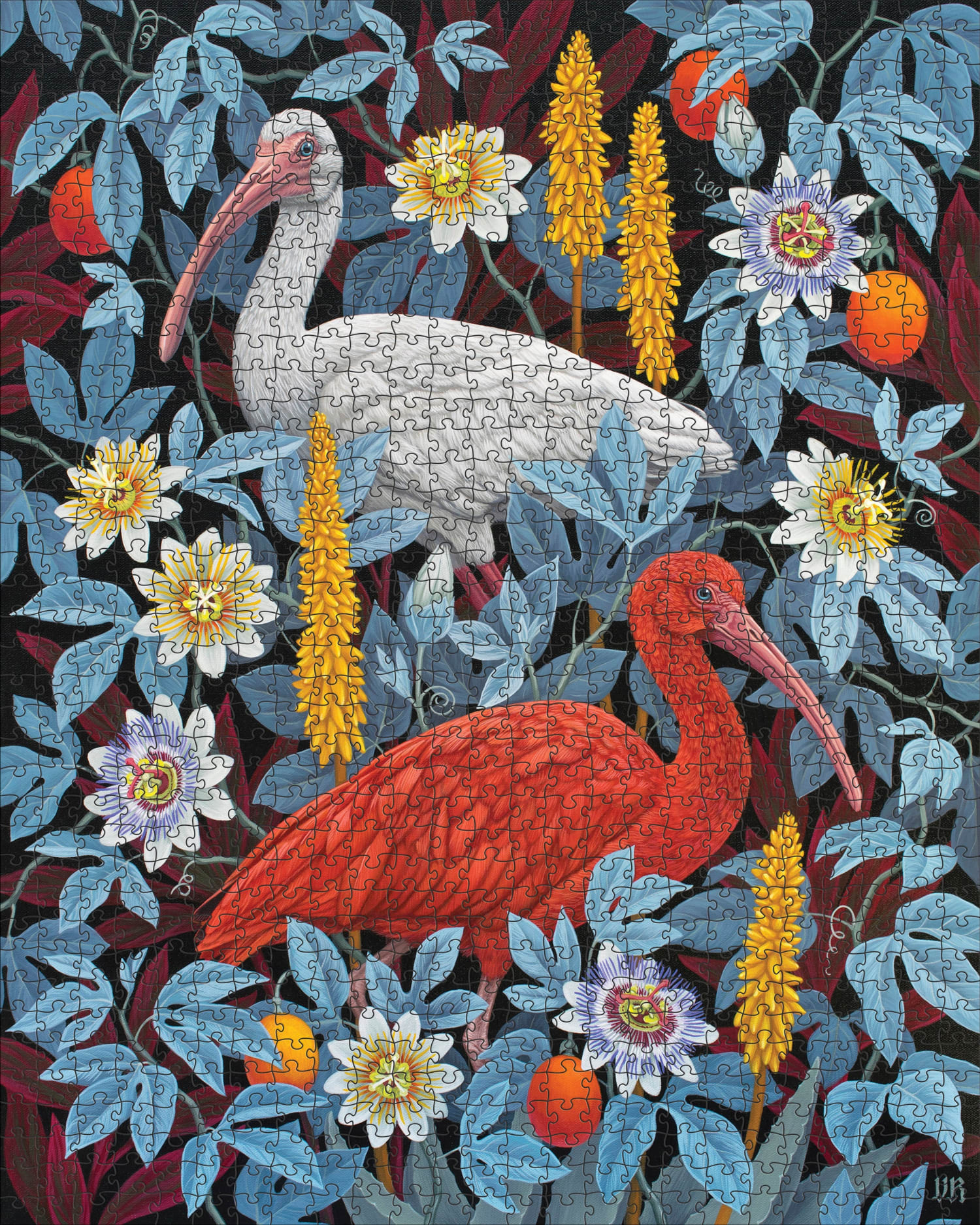 Vasilisa Romanenko: Ibises