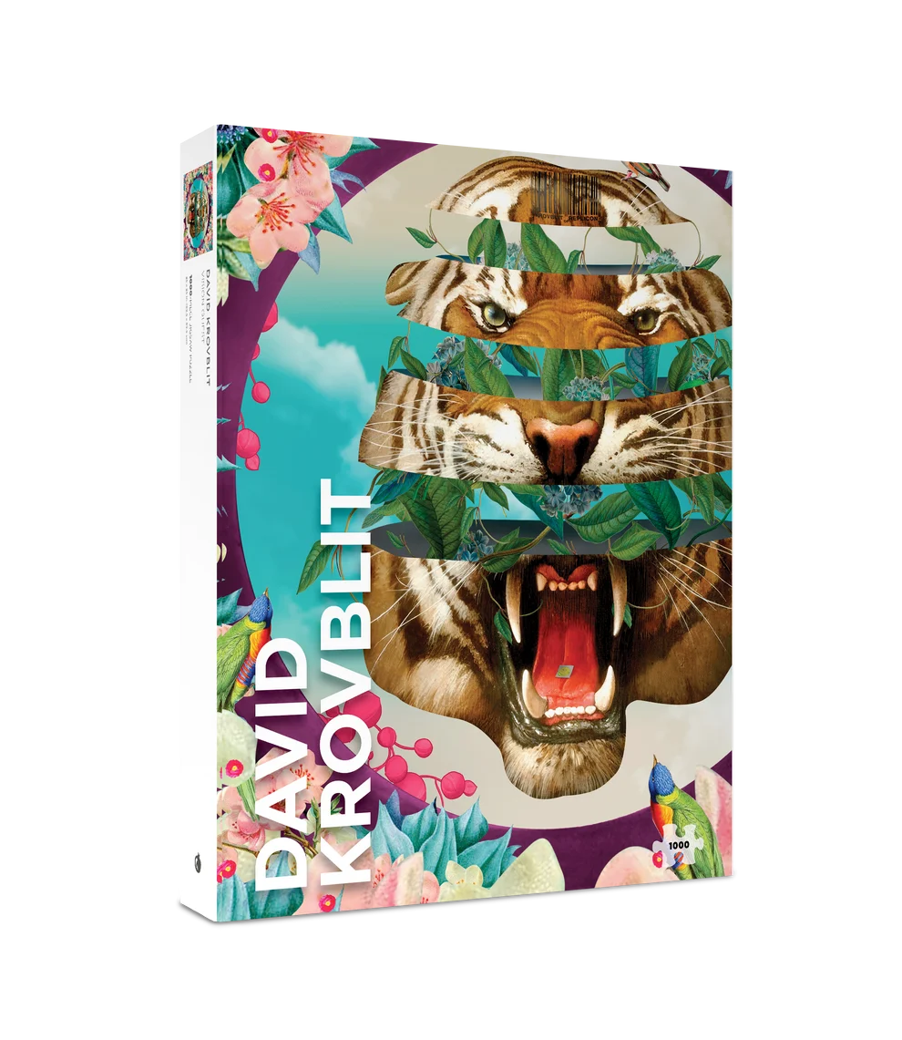 David Krovblit: Vision Quest