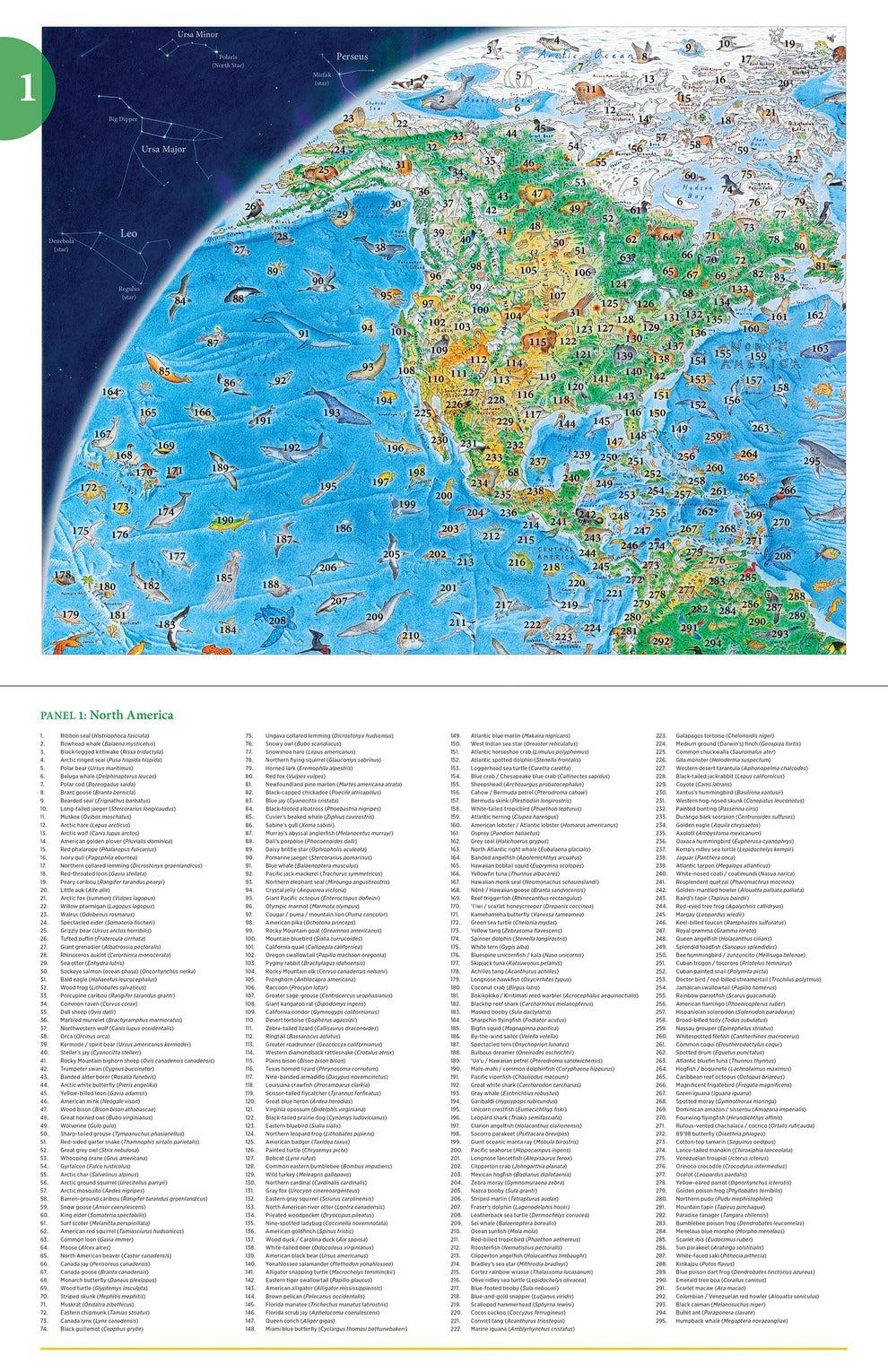 Anton Thomas: Wild World