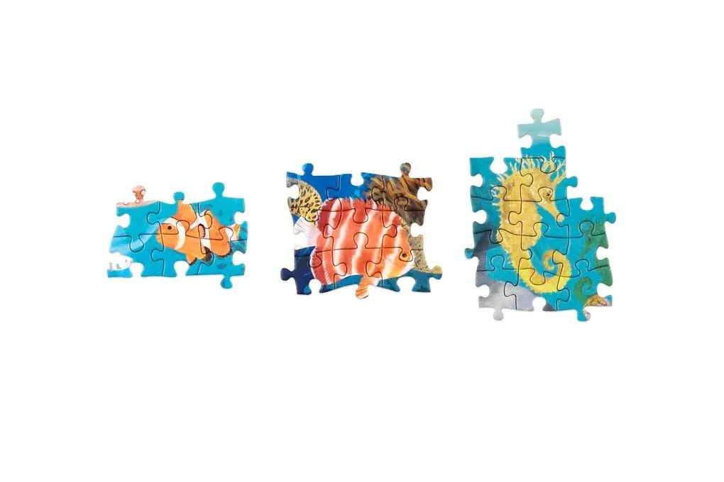 Around the World in 50 Fish