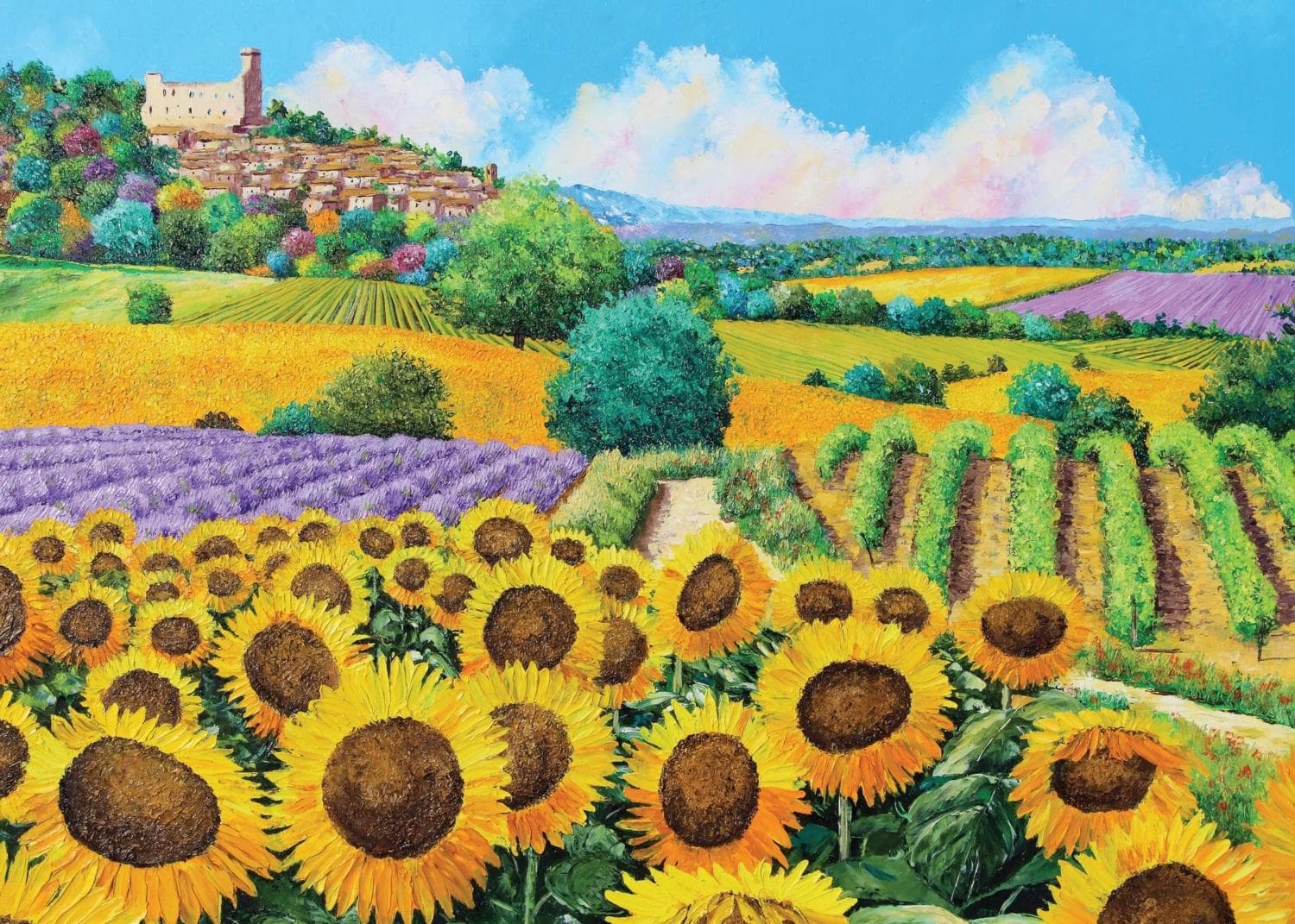 Sunflowers & Vineyards Countryside