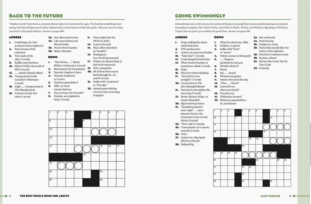 Best Puzzle Book For Adults