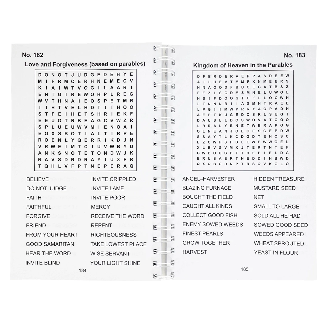 Bible Large Print Word Search - Adult Puzzle Book