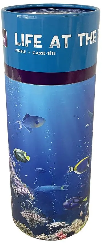 Life on the Reef Sea Life