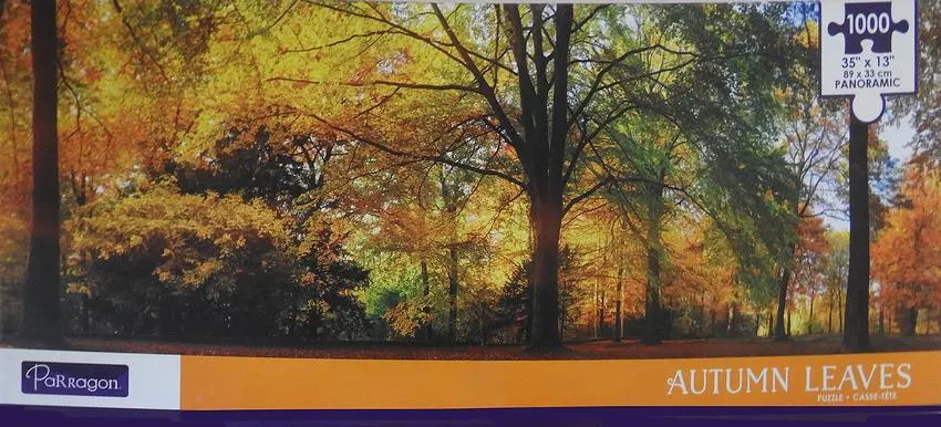 Autumn Leaves Panoramic Fall