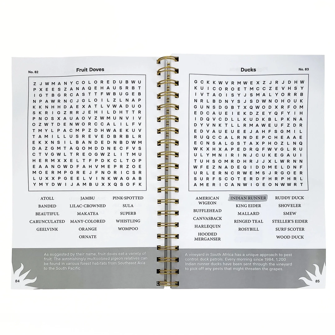 Birds of the World Word Search