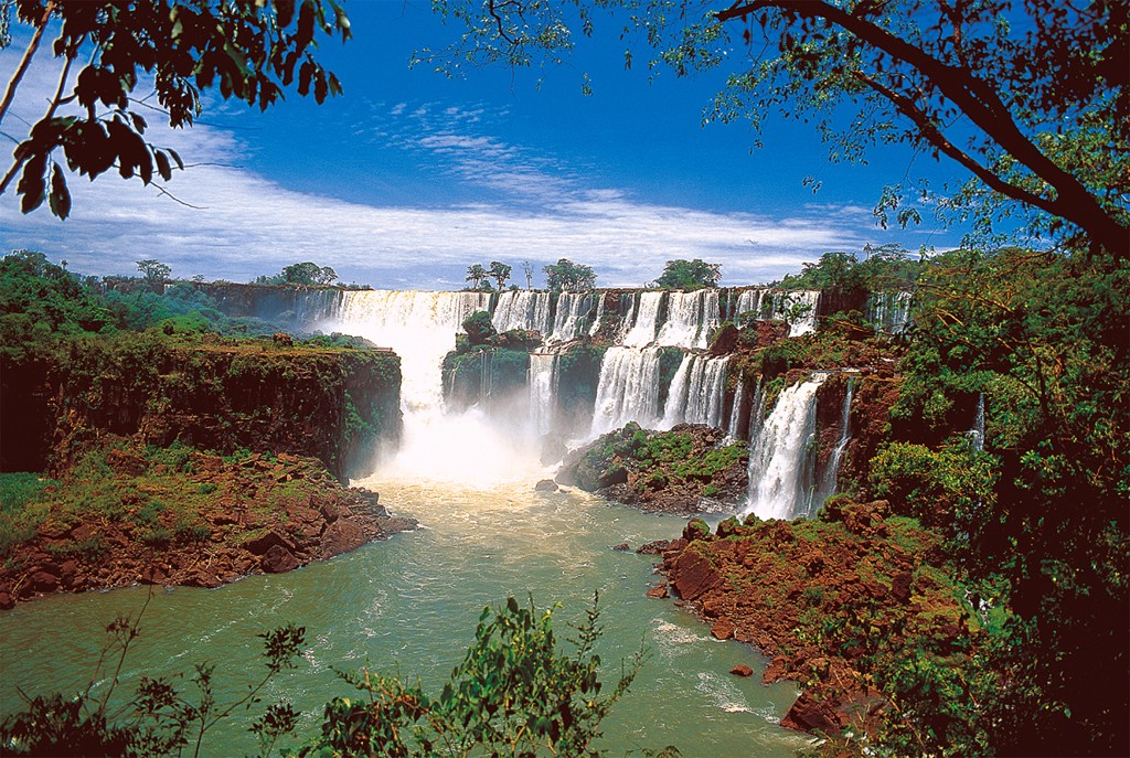 Water Falls Forest