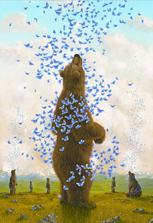 The Embrace Butterflies and Insects