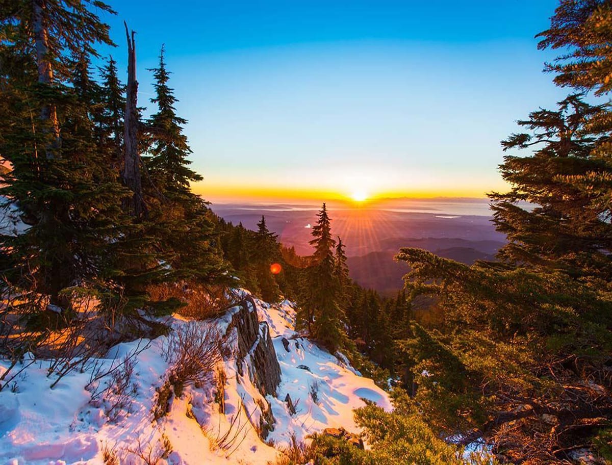 Sunset in the Snowy Forest Mountain