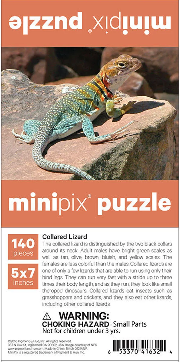 Collared Lizard MiniPix&reg; Puzzle