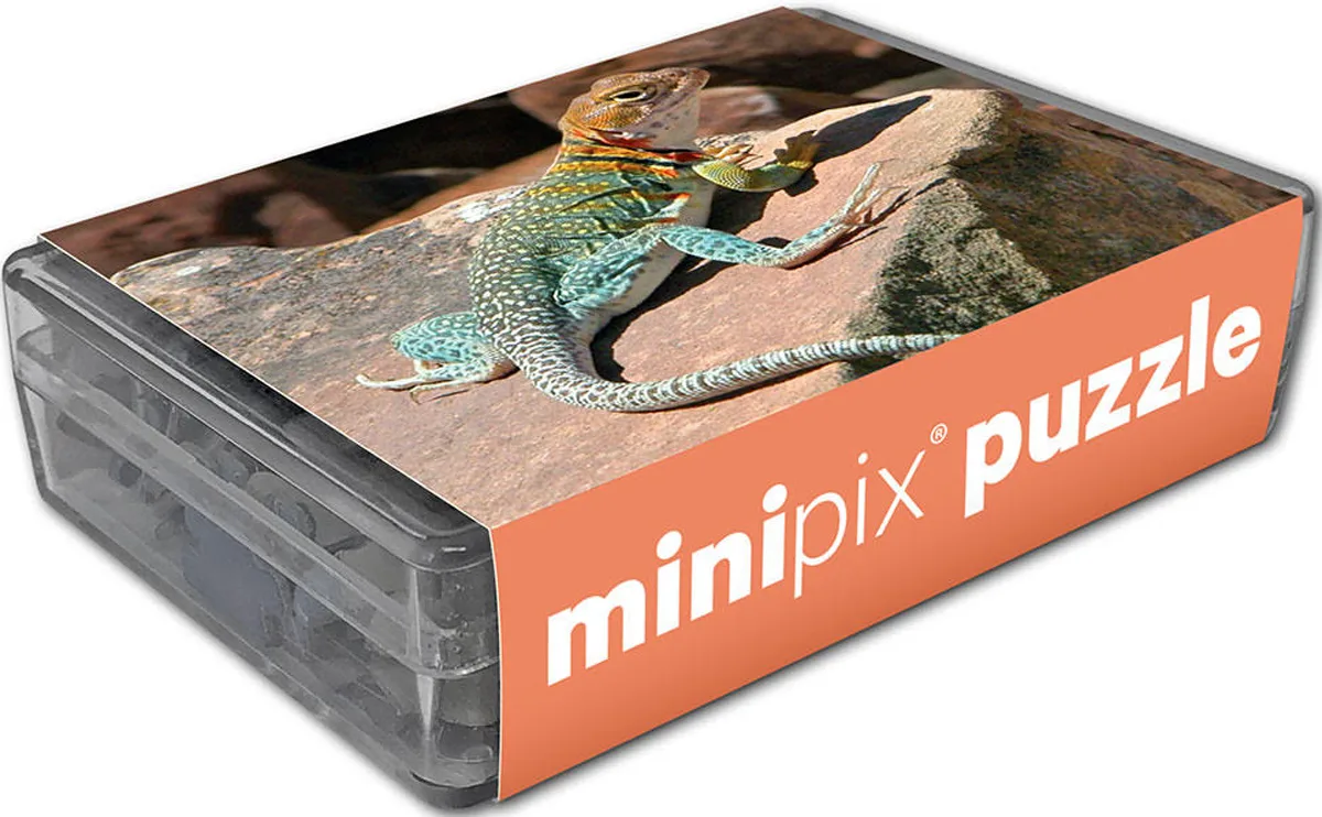 Collared Lizard MiniPix&reg; Puzzle