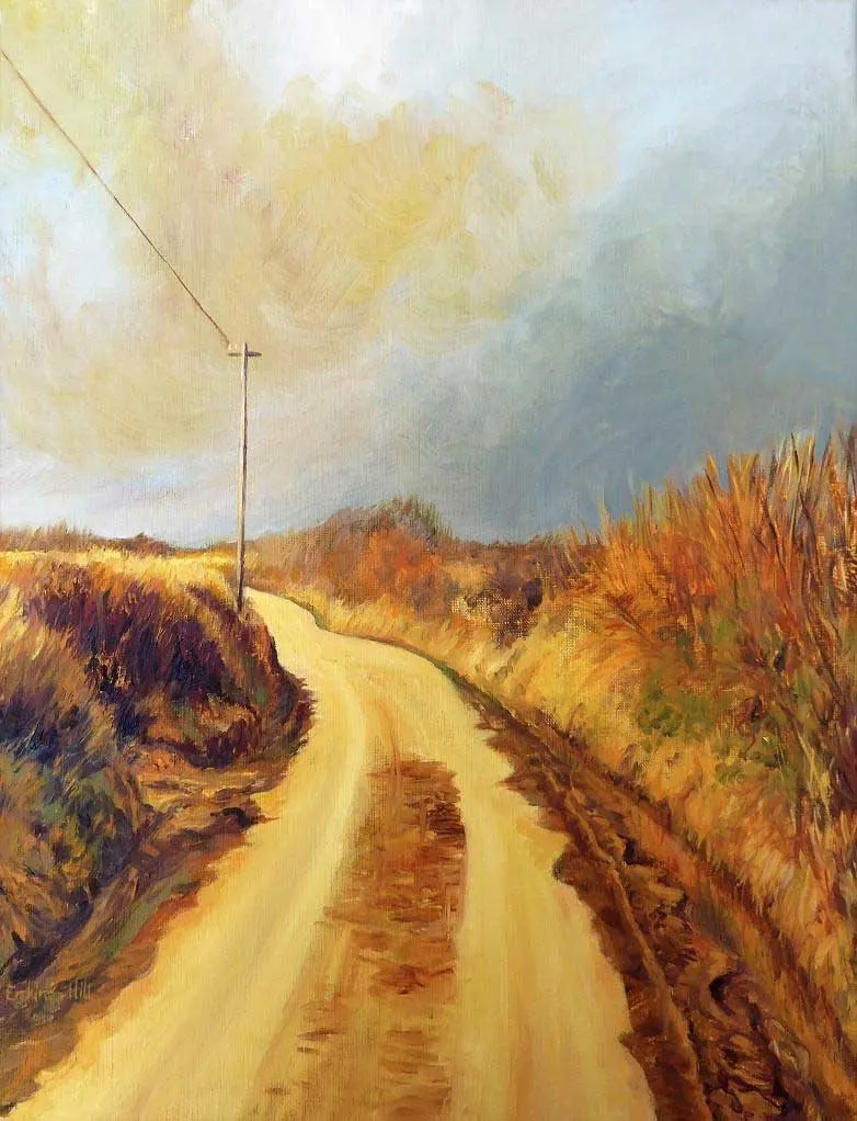 Approaching Storm Countryside