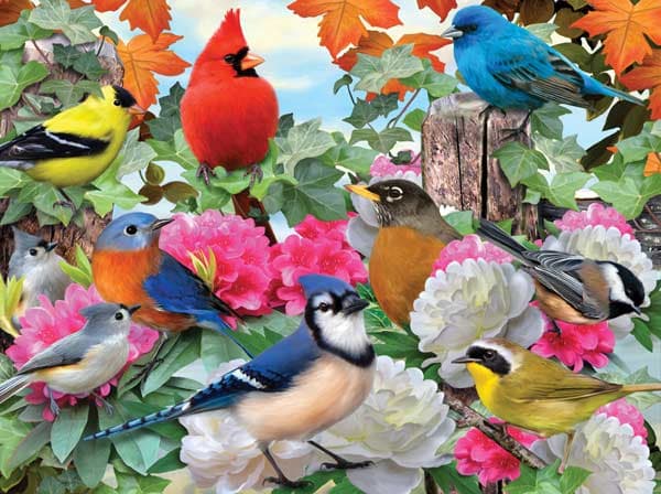 Garden Birds Birds