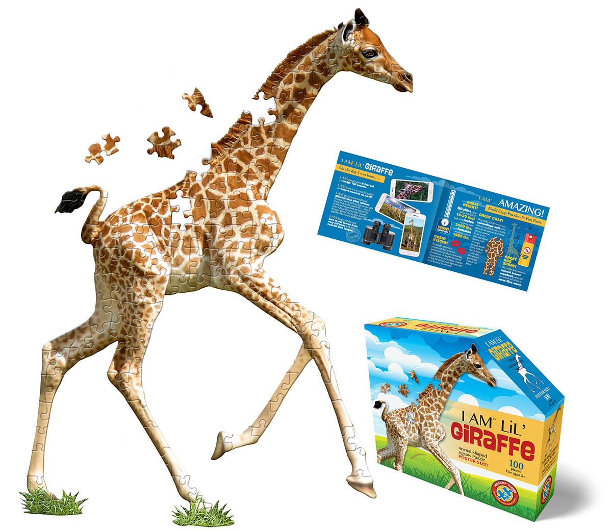 I Am Lil&rsquo; Giraffe Animals