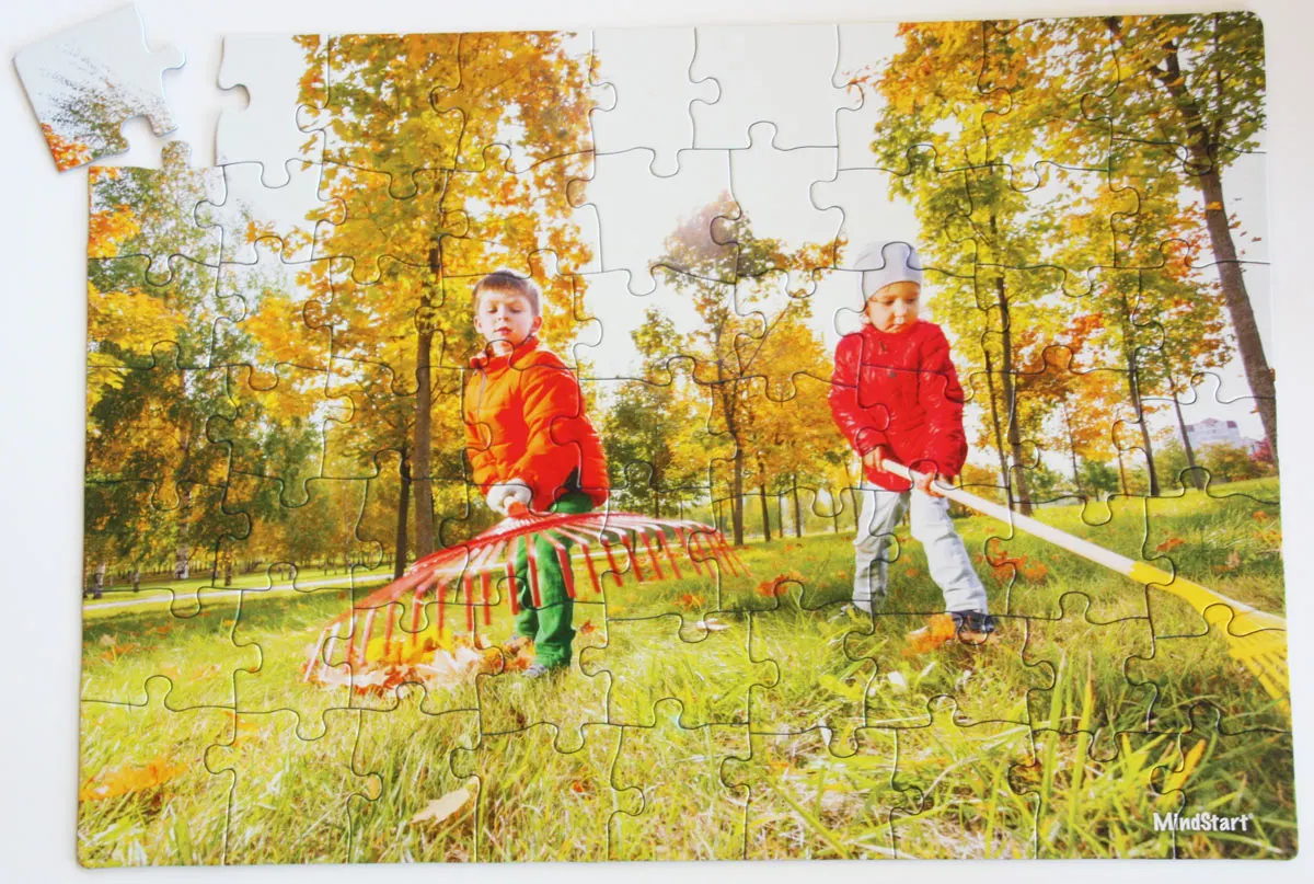 Raking (60 pcs) Fall