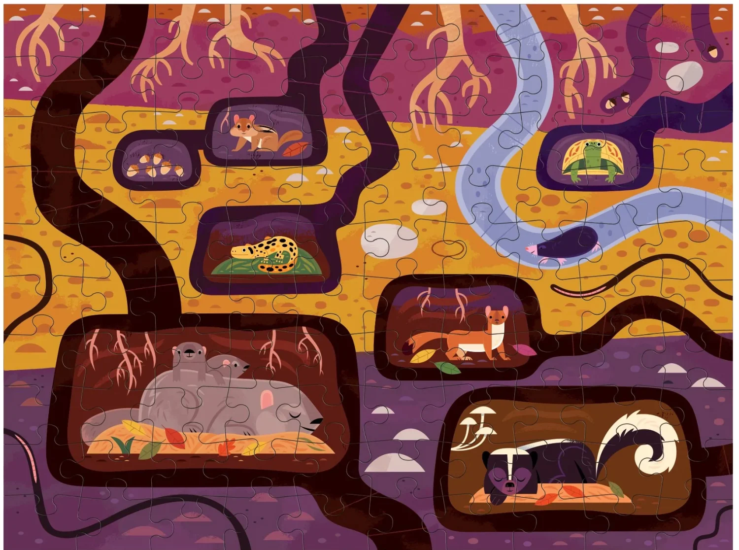 Forest Above & Below