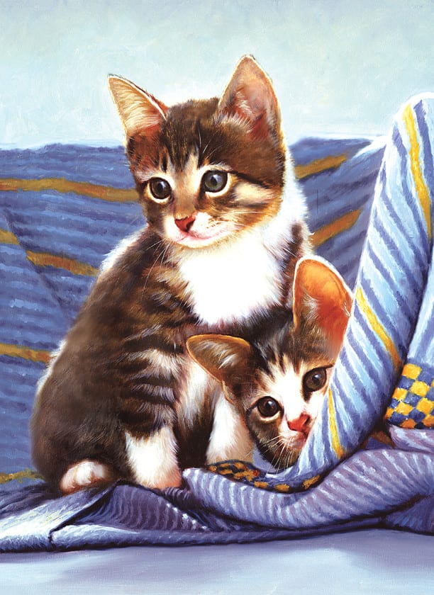 What's Going On? Cats