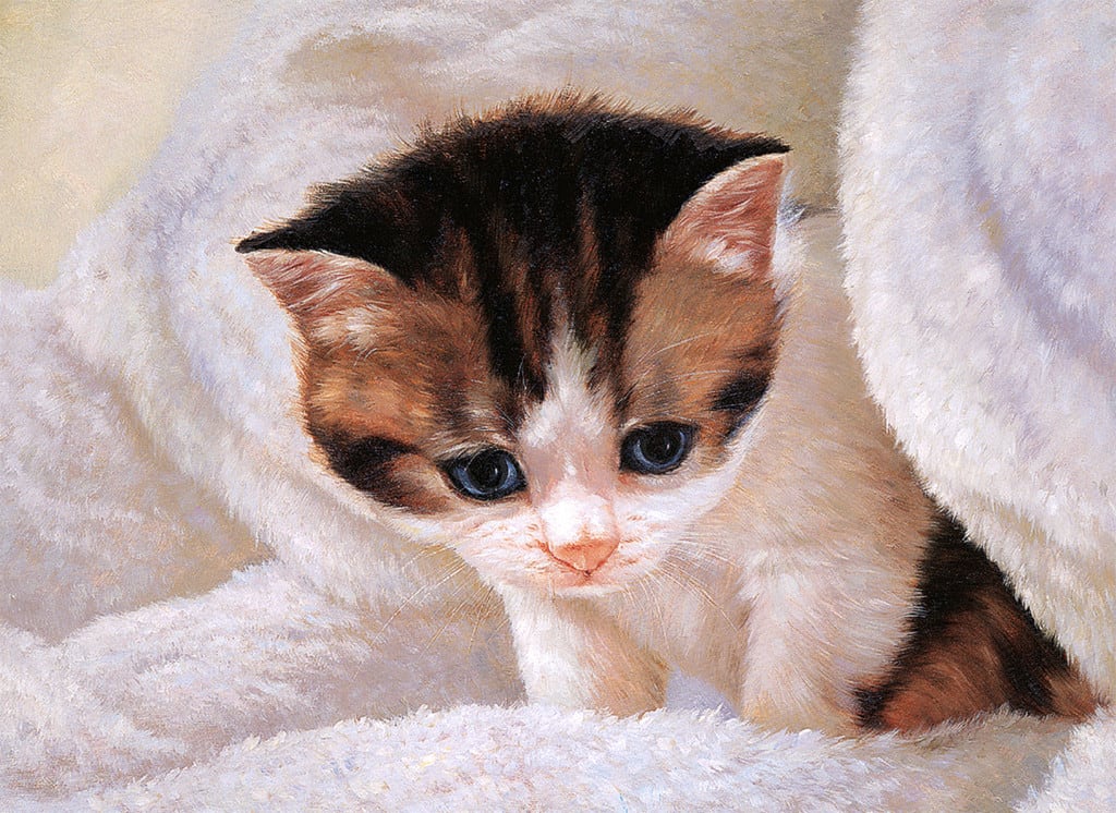 Milky Face Cats