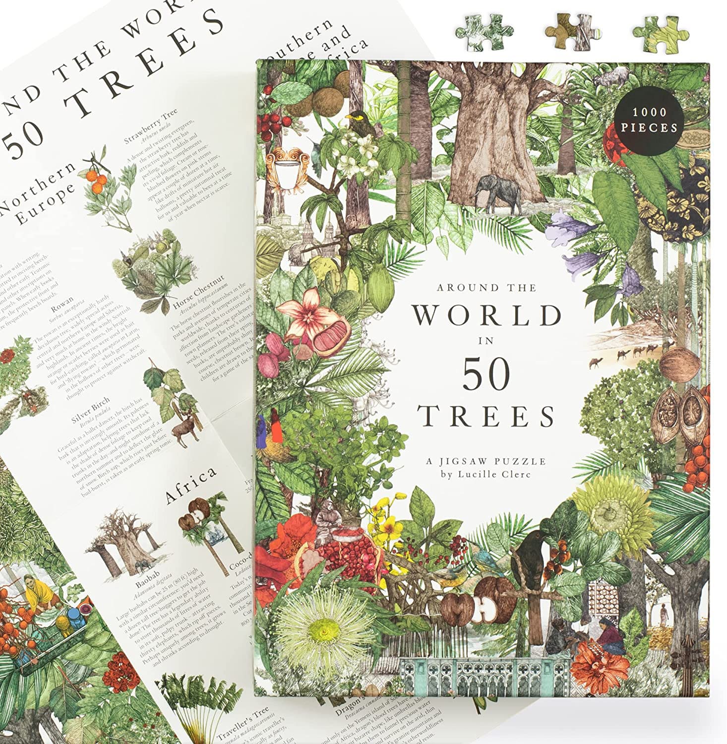 Around the World in 50 Trees