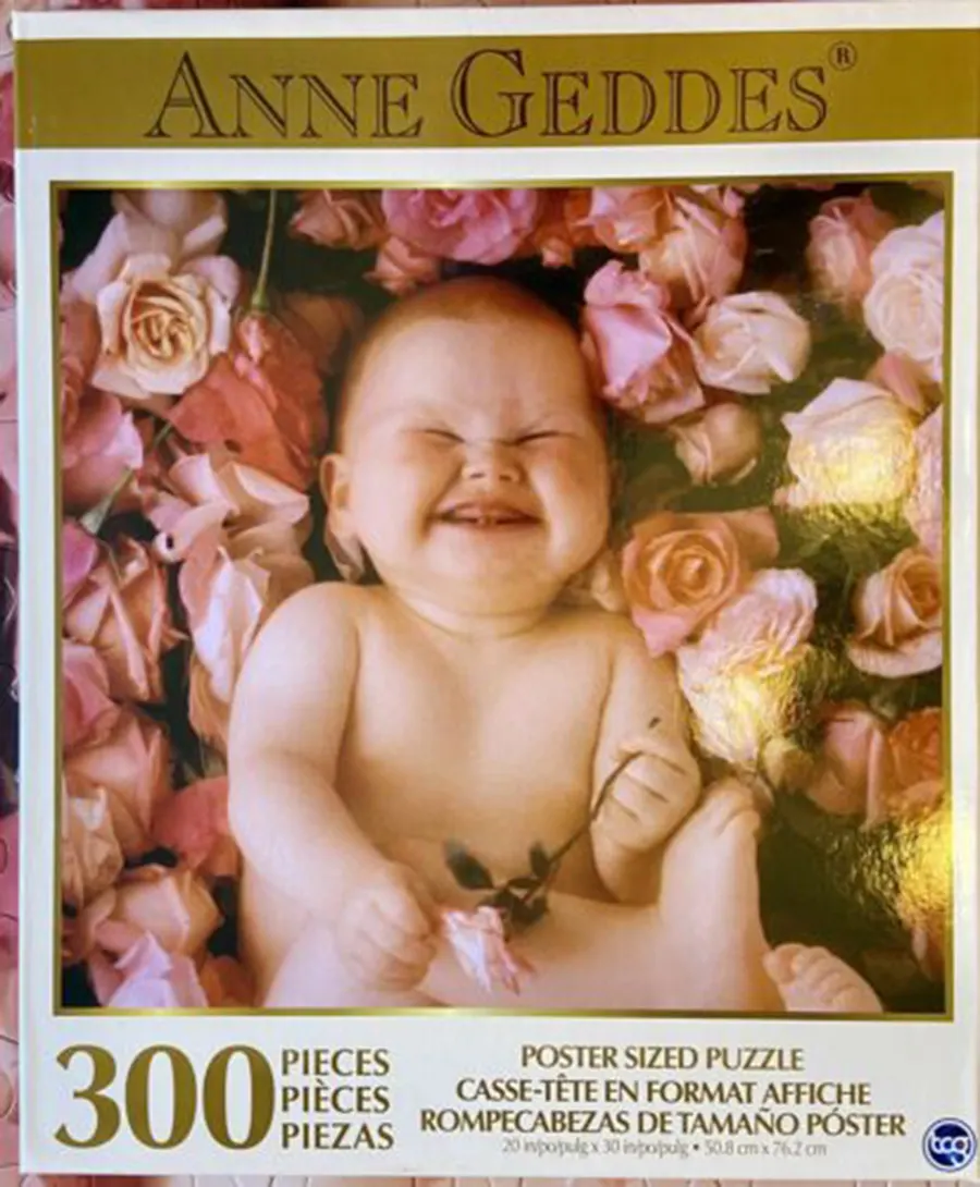 Baby Pink Roses Flower & Garden