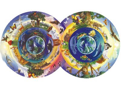 Biodiversity Animals