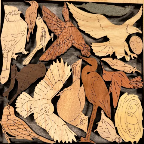 Bird Lovers Puzzle
