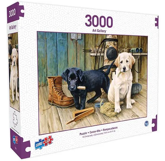 Break Time Lab Puppies