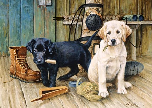 Break Time Lab Puppies Dogs